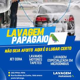 Lavagem Papagaio