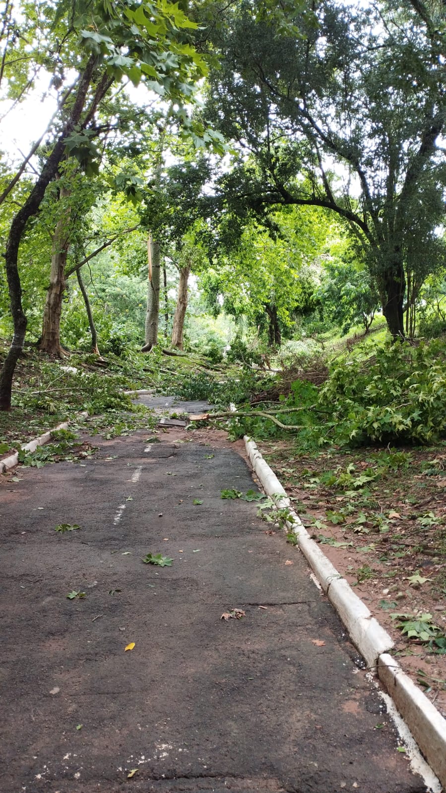 Parque Itaimbé também foi afetado pelo temporal em Santa Maria